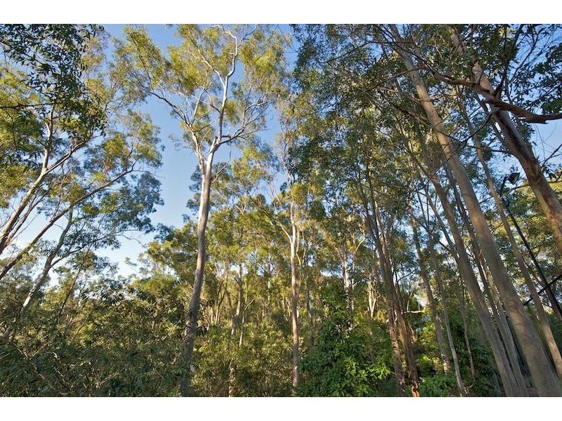 83 Gold Creek Rd, Brookfield QLD 4069